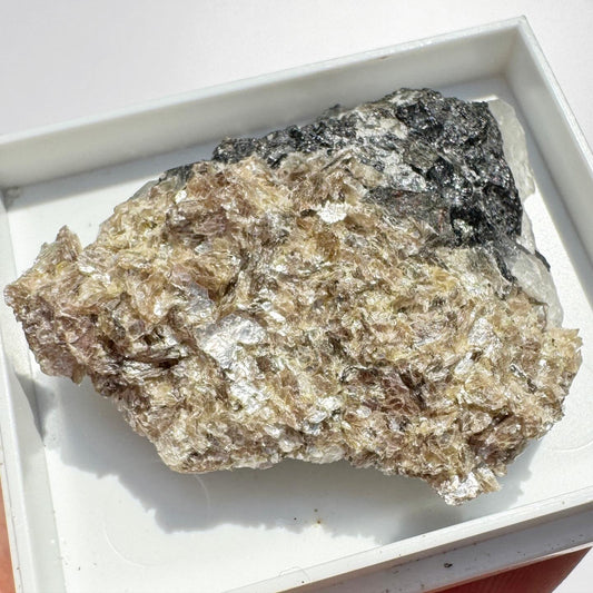 Scheelite (Carrock Mine, Adit Level, Smith Vein, Caldbeck Fells, Cumbria)