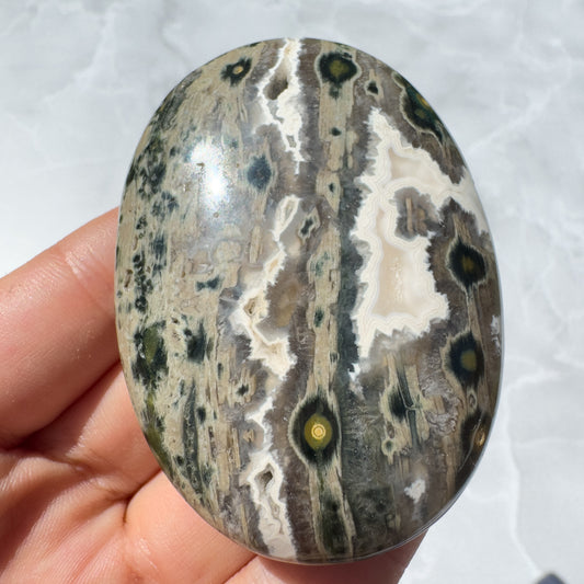 Ocean Jasper Palmstone